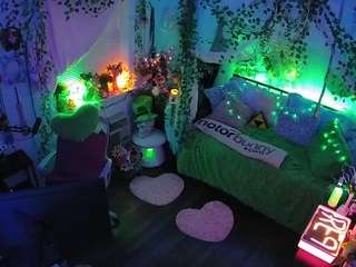 voyeurcam-veccasalt-01's CamSoda show and profile