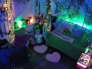 voyeurcam-veccasalt-01 webcam