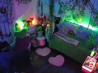 voyeurcam-veccasalt-01's CamSoda show and profile