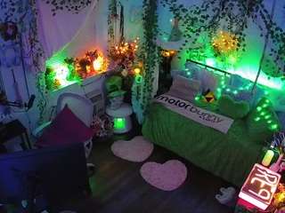 voyeurcam-veccasalt-01 webcam