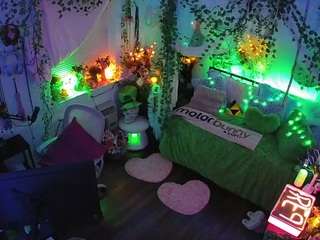 voyeurcam veccasalt 01