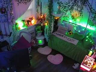 voyeurcam-veccasalt-01 webcam