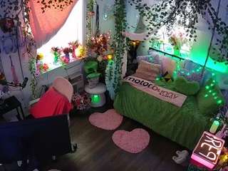 voyeurcam-veccasalt-01 webcam