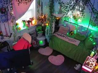 voyeurcam-veccasalt-01 webcam