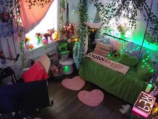 voyeurcam-veccasalt-01 webcam