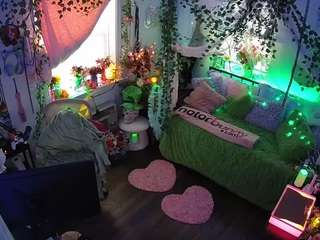 voyeurcam-veccasalt-01 webcam