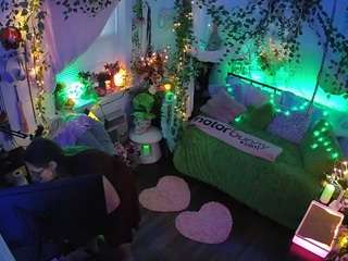 voyeurcam-veccasalt-01 webcam