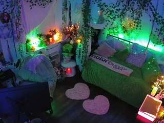 voyeurcam-veccasalt-01 live cam profile