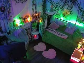 voyeurcam-veccasalt-01 live cam profile