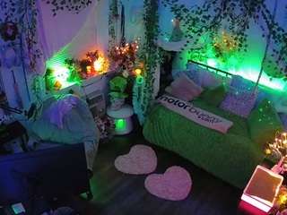 voyeurcam veccasalt 01