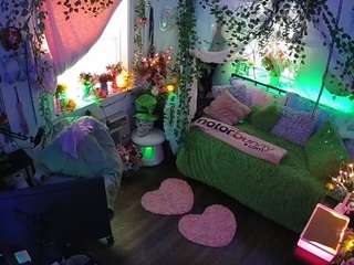 voyeurcam veccasalt 01