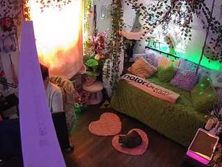 voyeurcam-veccasalt-01 webcam