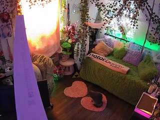 voyeurcam-veccasalt-01 webcam