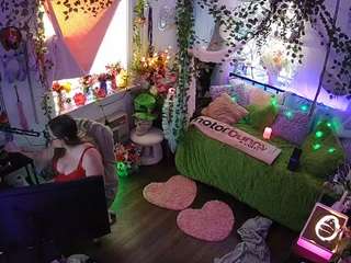 voyeurcam-veccasalt-01 webcam