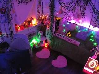 voyeurcam-veccasalt-01