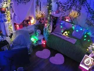 voyeurcam veccasalt 01