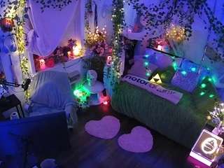 voyeurcam-veccasalt-01 webcam