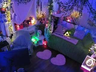 voyeurcam veccasalt 01