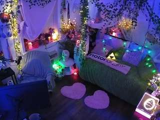 voyeurcam-veccasalt-01 webcam