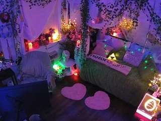 voyeurcam-veccasalt-01 webcam