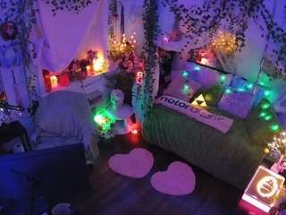 voyeurcam-veccasalt-01 webcam