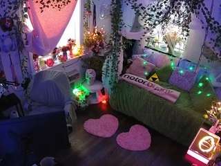 voyeurcam veccasalt 01