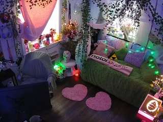 voyeurcam-veccasalt-01 webcam