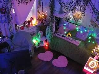 voyeurcam-veccasalt-01 webcam