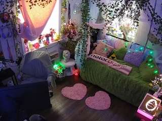 voyeurcam-veccasalt-01 webcam