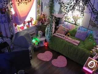 voyeurcam-veccasalt-01