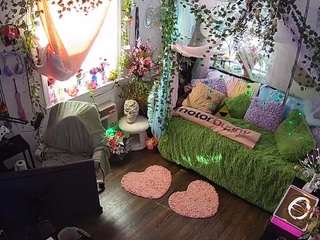 voyeurcam-veccasalt-01 webcam