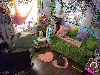 voyeurcam-veccasalt-01 webcam