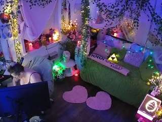 voyeurcam-veccasalt-01 webcam