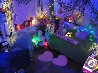 voyeurcam-veccasalt-01 webcam