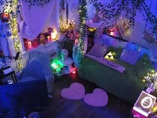 voyeurcam-veccasalt-01 webcam