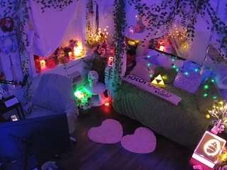 voyeurcam-veccasalt-01 webcam