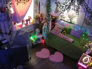 voyeurcam-veccasalt-01