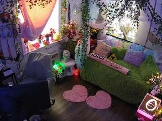 voyeurcam-veccasalt-01 webcam