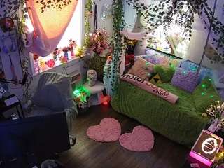 voyeurcam-veccasalt-01 webcam