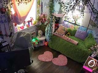 voyeurcam-veccasalt-01 webcam