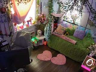 voyeurcam-veccasalt-01 webcam