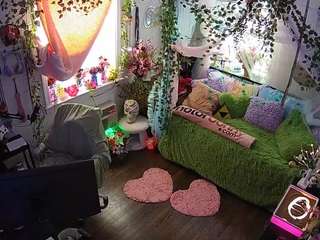 voyeurcam-veccasalt-01 webcam