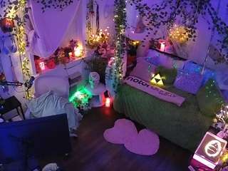 voyeurcam veccasalt 01