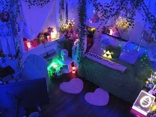 voyeurcam-veccasalt-01 webcam