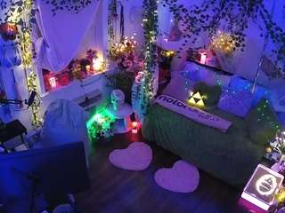 voyeurcam-veccasalt-01 webcam