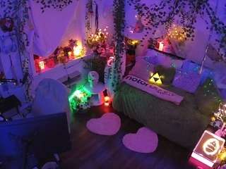 voyeurcam-veccasalt-01