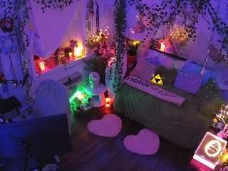 voyeurcam-veccasalt-01 webcam