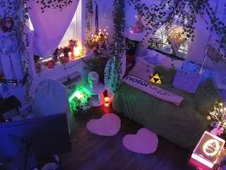 voyeurcam-veccasalt-01