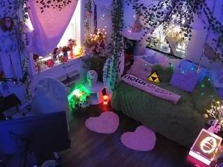 voyeurcam-veccasalt-01 webcam