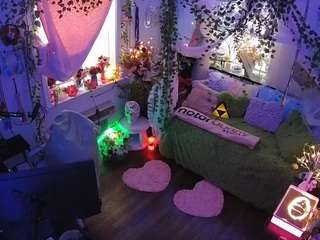 voyeurcam-veccasalt-01 webcam